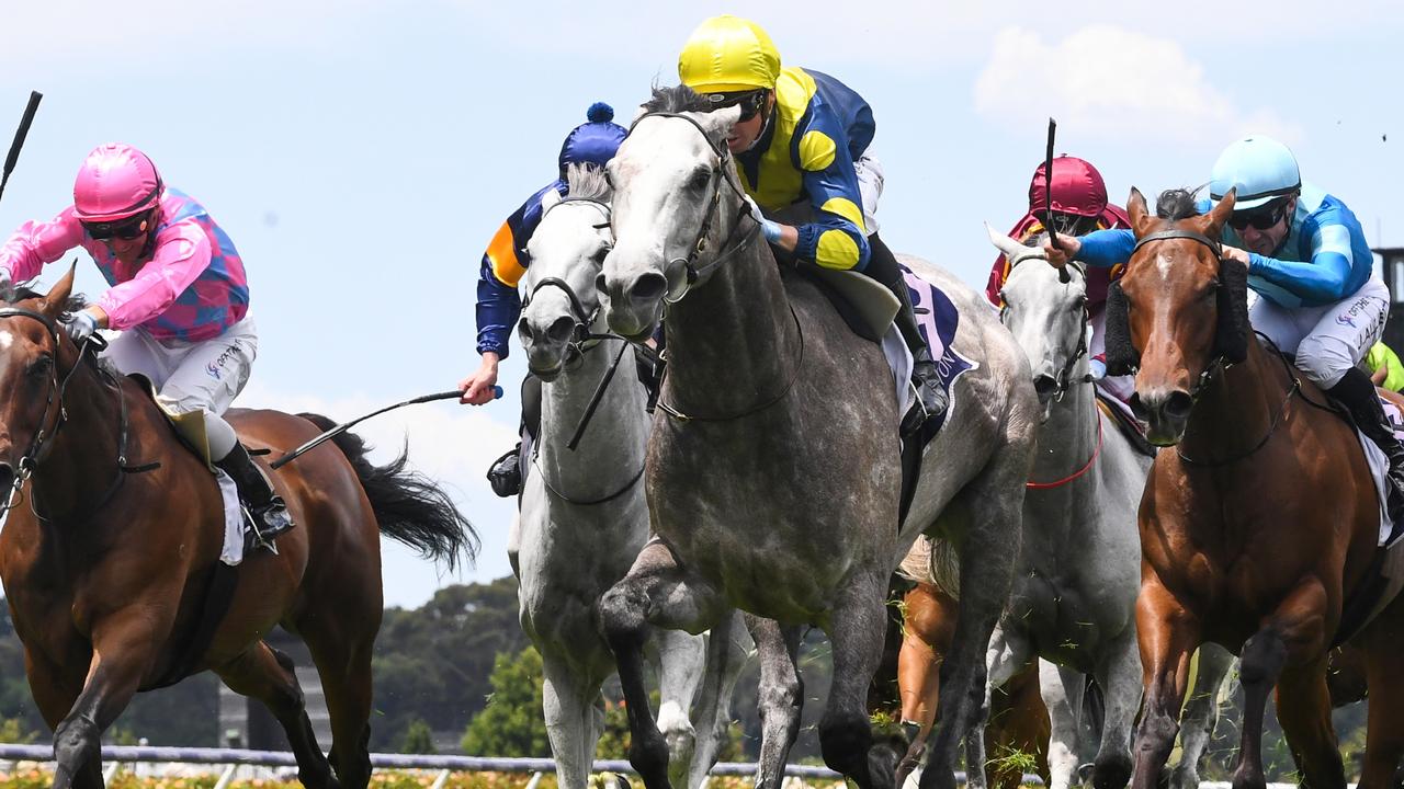 Horse Racing Chandon Ladies Day 2022 form guide, tips, predictions, Coolmore Classic, Flemington Group 1s