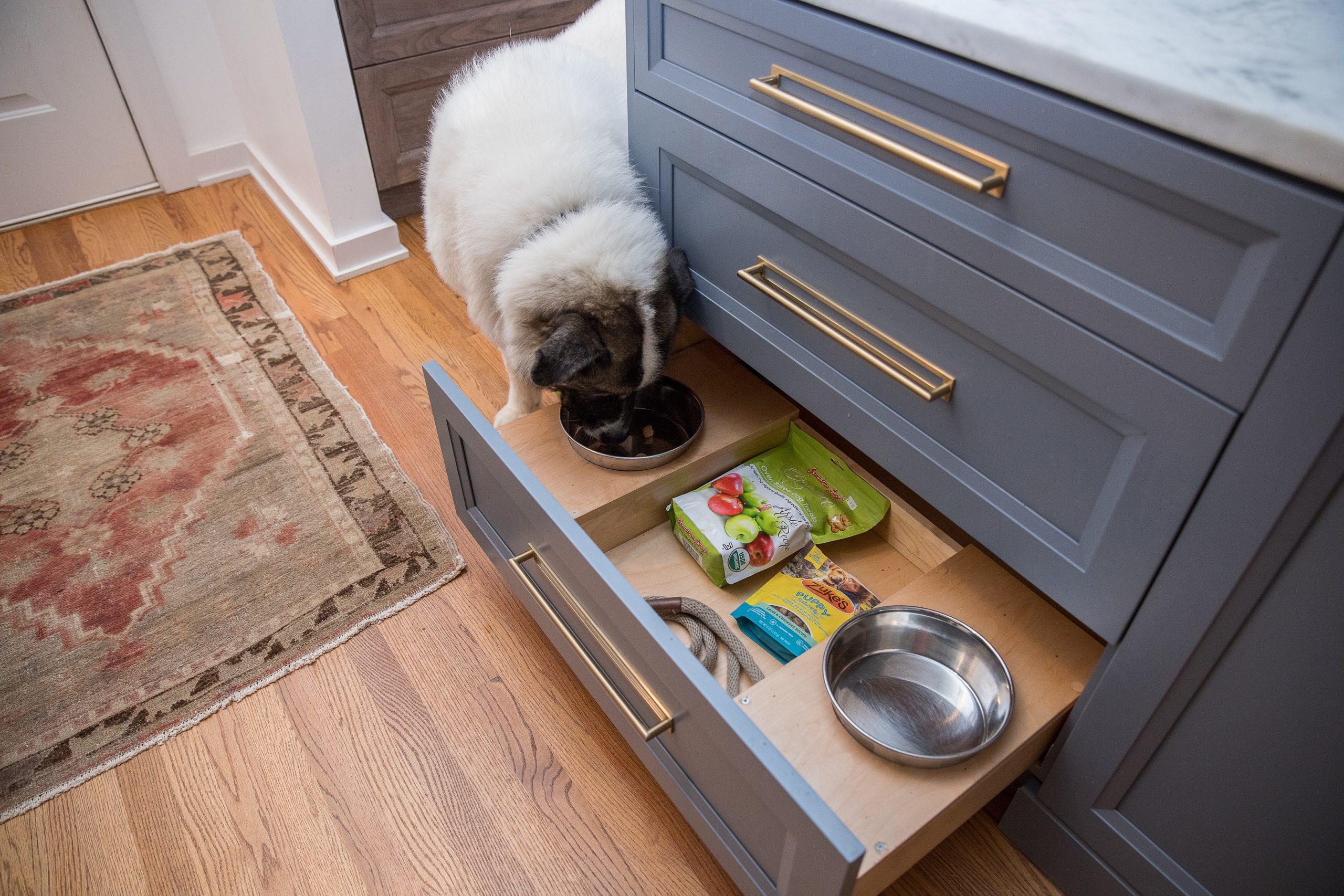 Pet-friendly design a growing decor trend