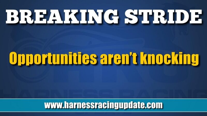 Opportunities aren’t knocking – Harness Racing Update