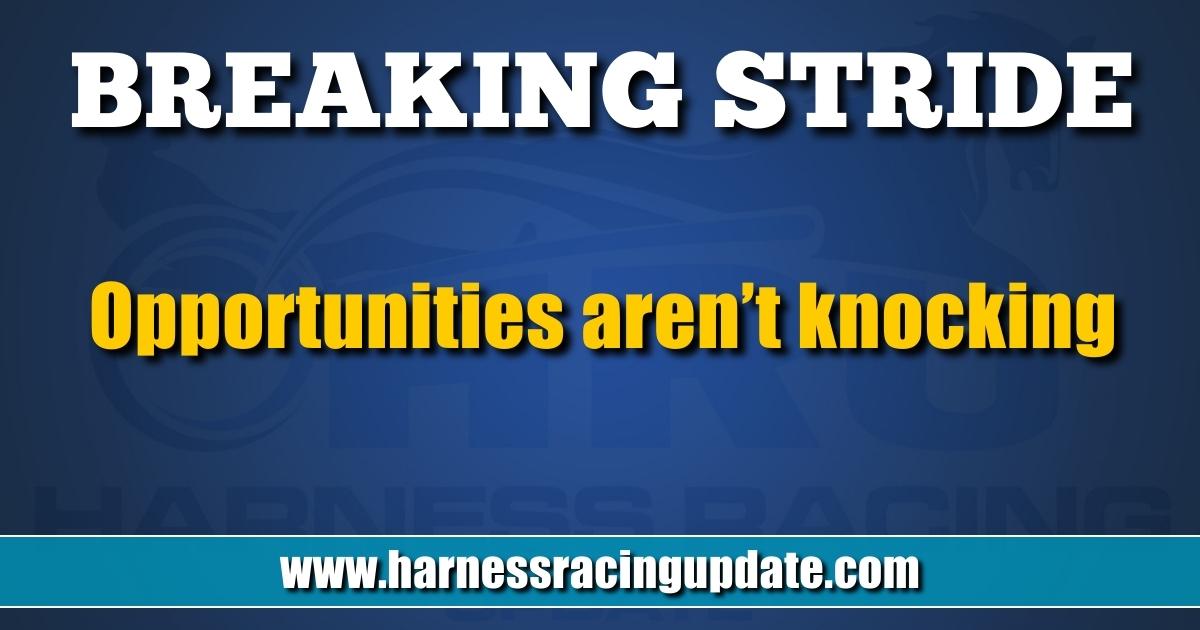 Opportunities aren’t knocking – Harness Racing Update