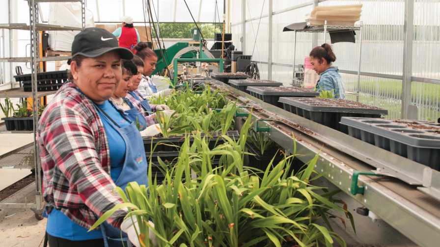 HR Professionals and Growers Offer Expert Advice on Labor Solutions