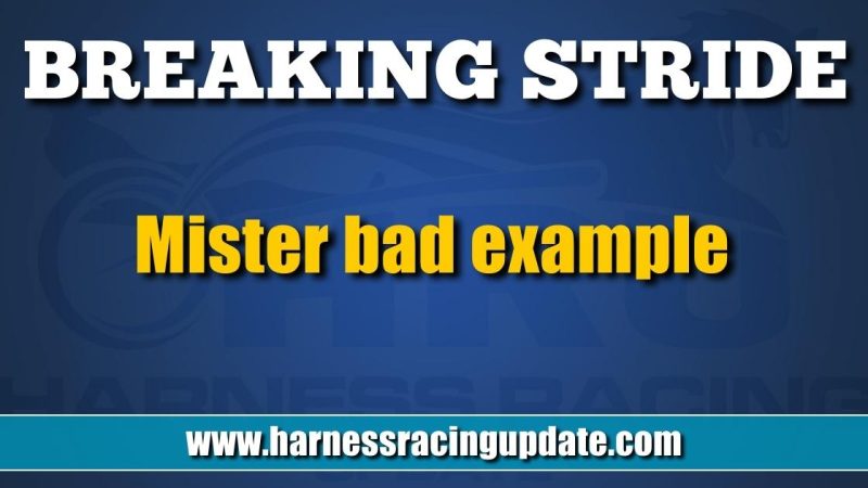 Mister bad example – Harness Racing Update