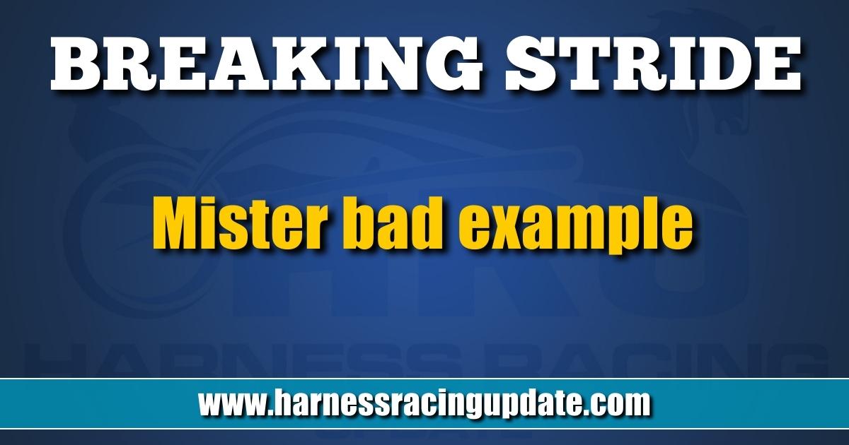 Mister bad example – Harness Racing Update