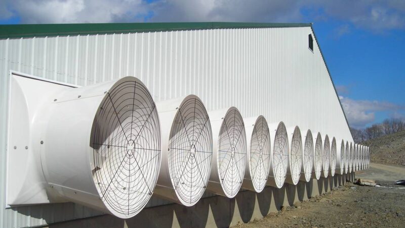 AP tips for proper barn ventilation during winter months – AgriNews