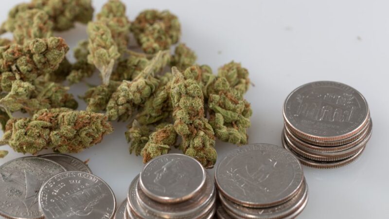 Arizona Recreational Marijuana Sales Hit Record Monthly High, State Reports