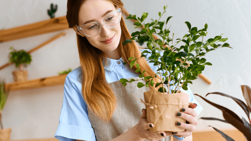 How to Start a Plant Nursery