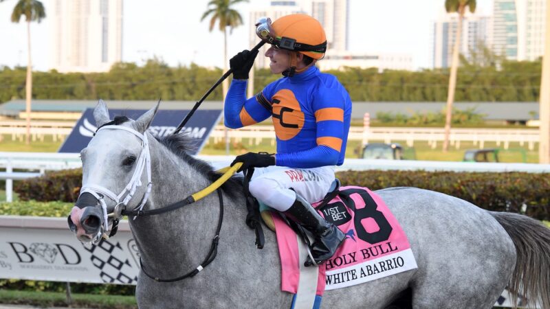 White Abarrio: What to know about the 2022 Kentucky Derby horse