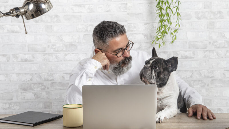 How to Keep Your Dog Entertained When You’re Working From Home