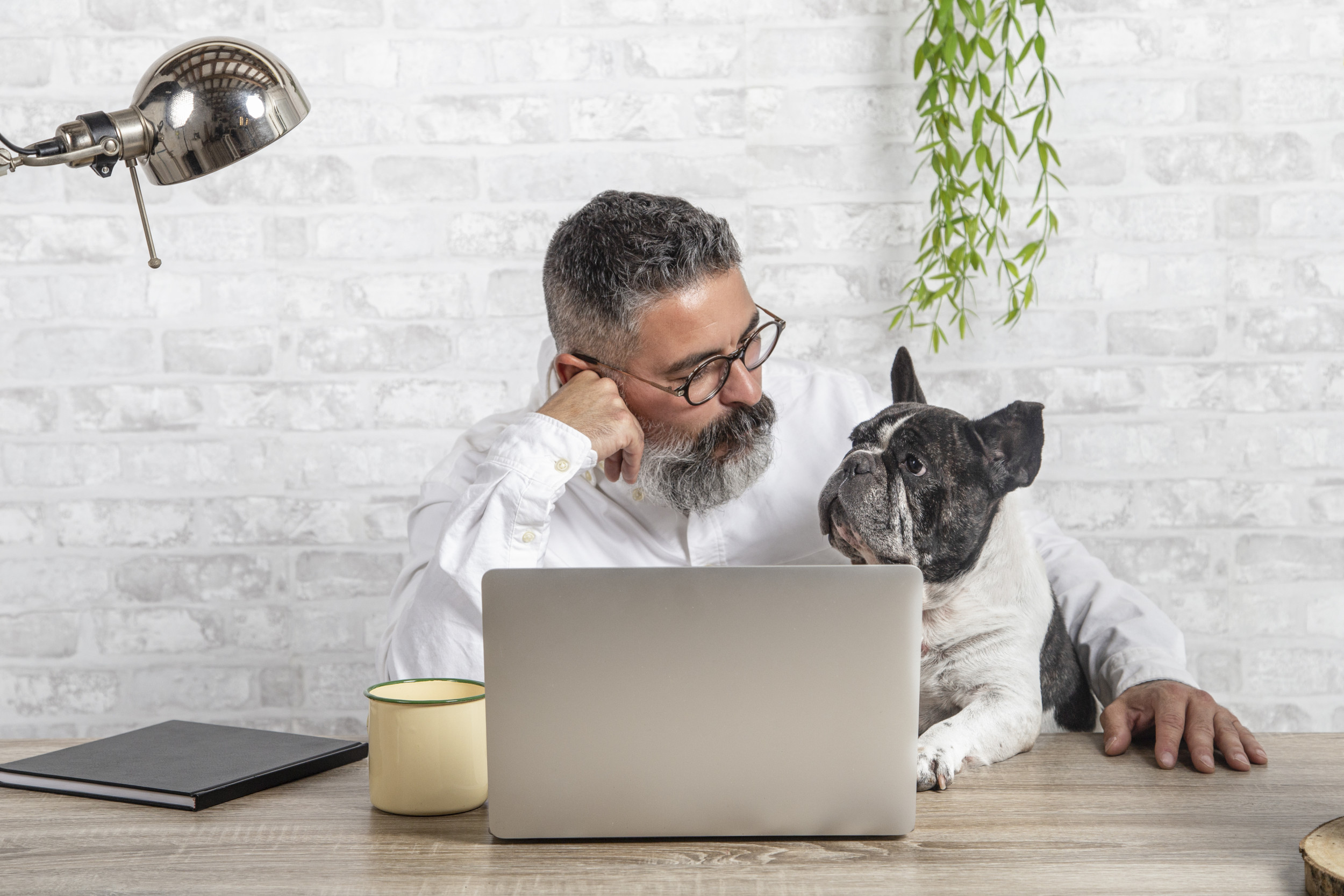 How to Keep Your Dog Entertained When You’re Working From Home