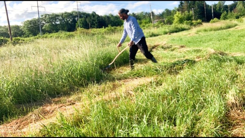 Scything – Basic Techniques