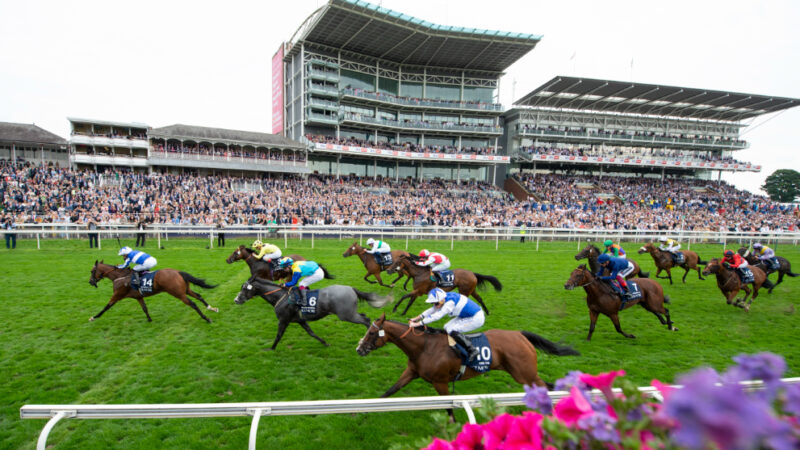 5 best-backed horses for York Ebor Festival