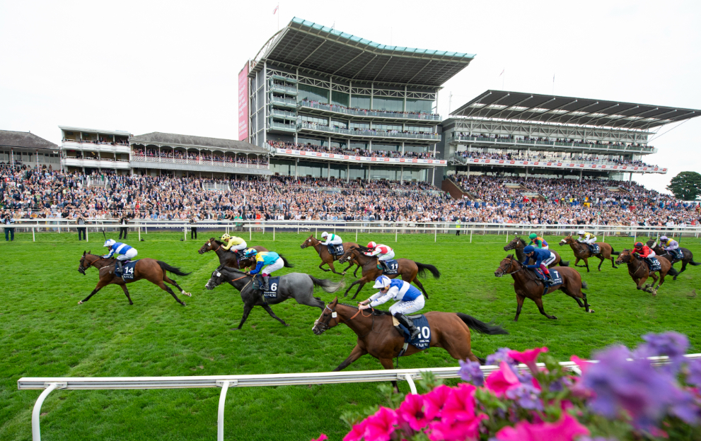 5 best-backed horses for York Ebor Festival