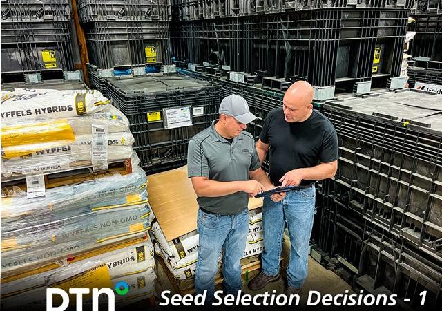 Seed Dealers More Important Than Ever