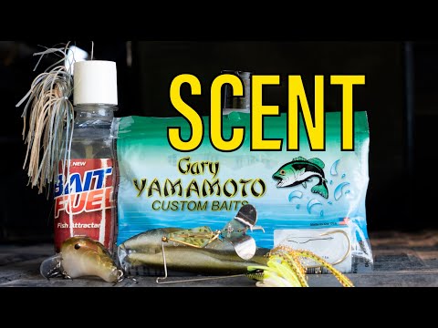 Use SCENTS to CATCH More Fish | Bait Fuel