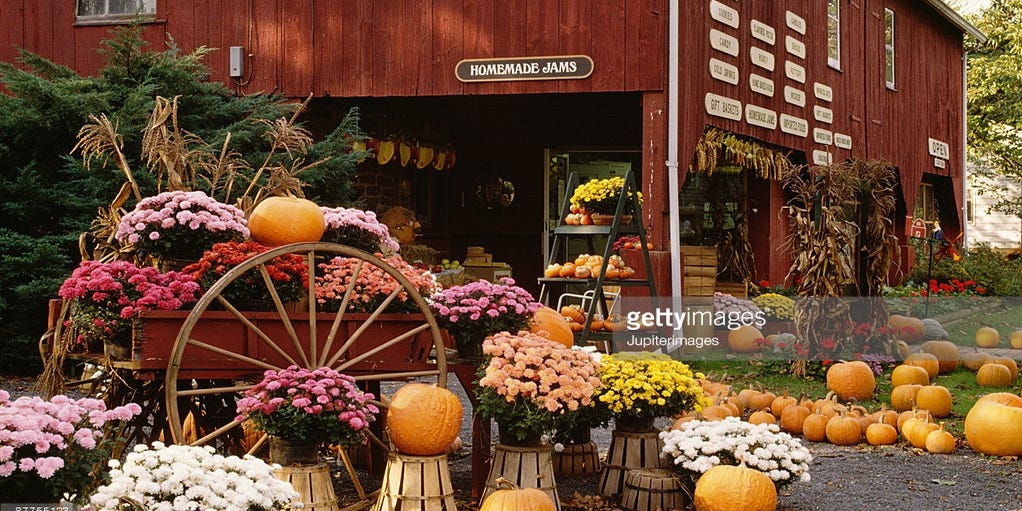 These six steps can help to make fall a successful season for your small business