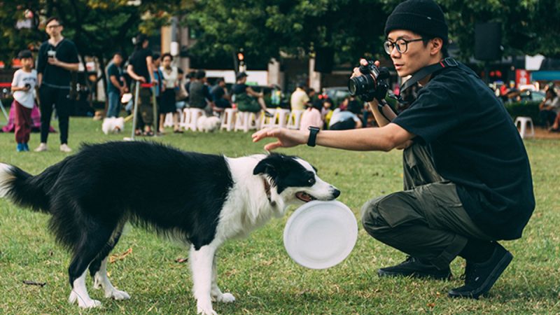 Sharon Bolt shares 12 hours of expert tips on how to train your dog