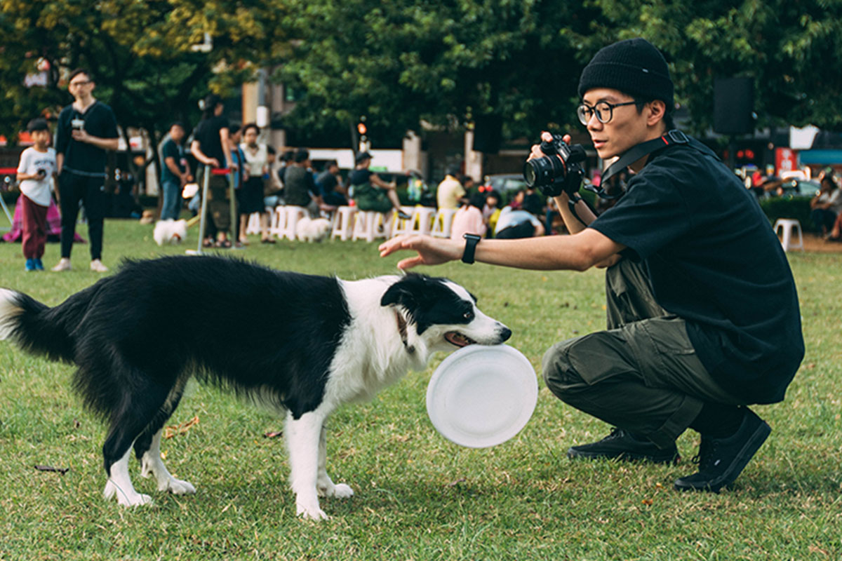 Sharon Bolt shares 12 hours of expert tips on how to train your dog