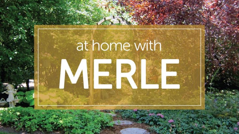 At Home with Merle Burleigh – November 2, 2022