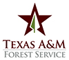 Timber theft investigation results in second conviction in Liberty County TFS