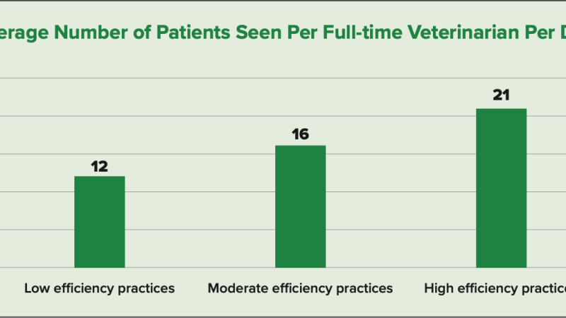 Increasing efficiency and productivity in uncertain times