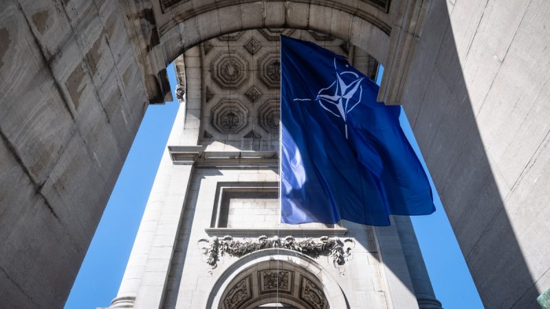 Sweden's NATO dream deferred