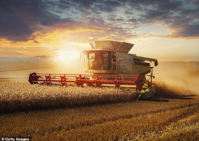 MIDAS SHARE TIPS: Loans for combine harvesters can reap rewards